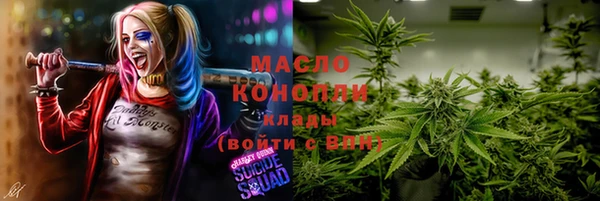 дживик Надым