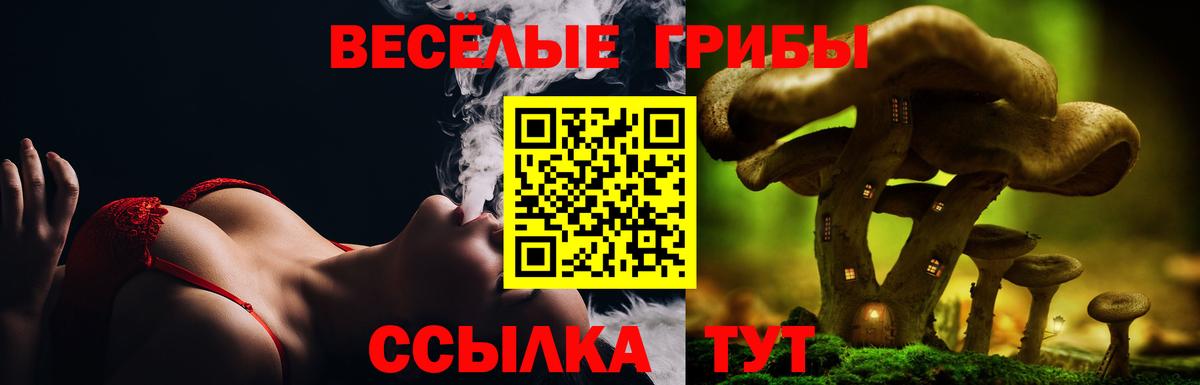 Коркино  Галлюциногенные грибы ЛСД  Псилоцибиновые грибы ЛСД  наркотики  Вход с VPN 